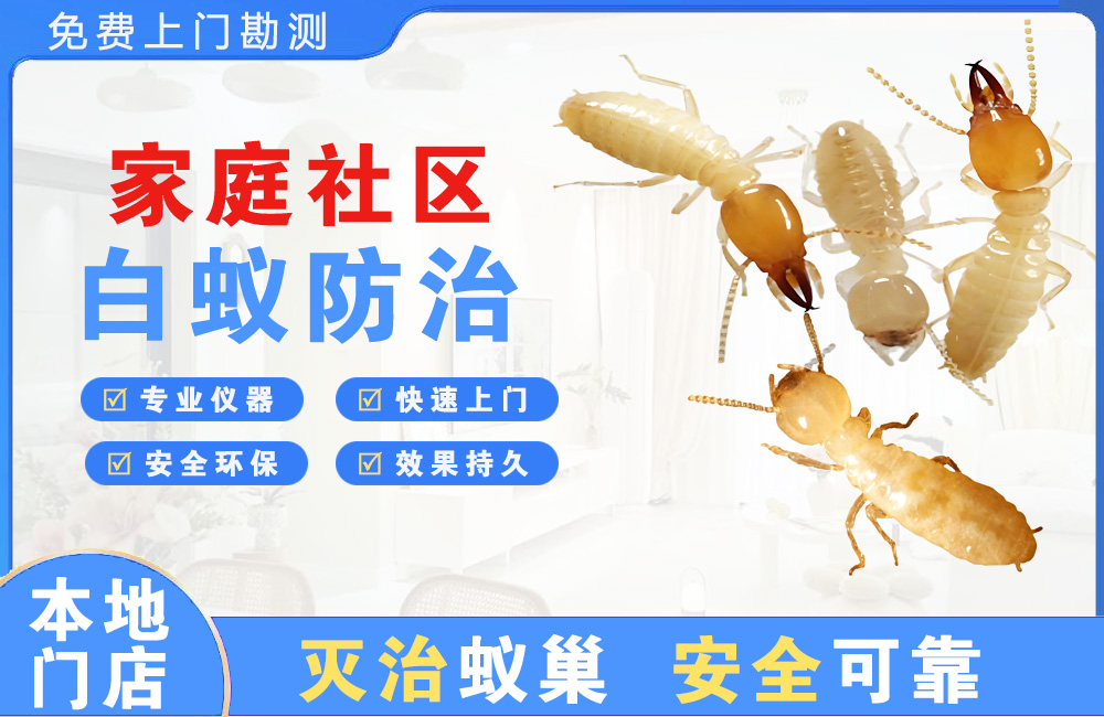 张家界家庭社区白蚁防治