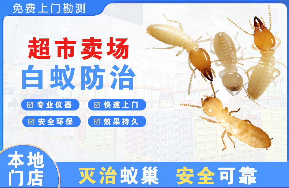 张家界超市卖场白蚁防治
