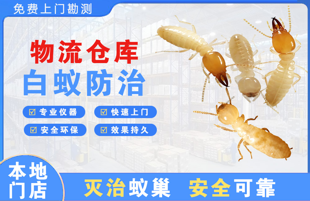 张家界物流仓库白蚁防治