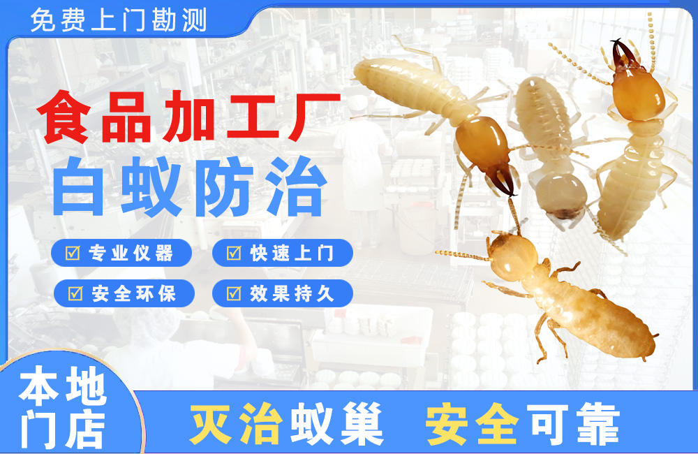 张家界食品加工厂白蚁防治