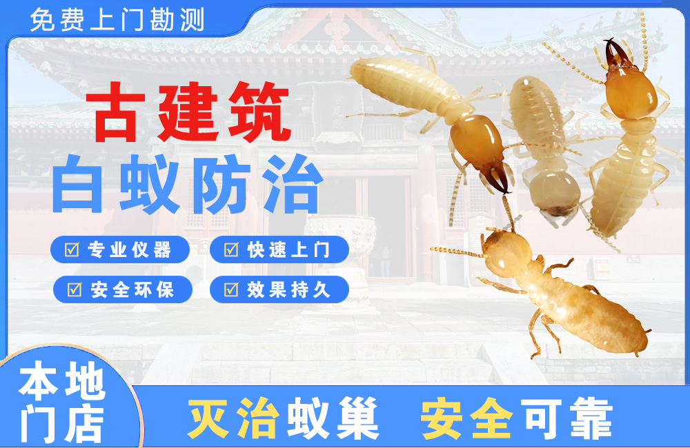 张家界古建筑白蚁防治