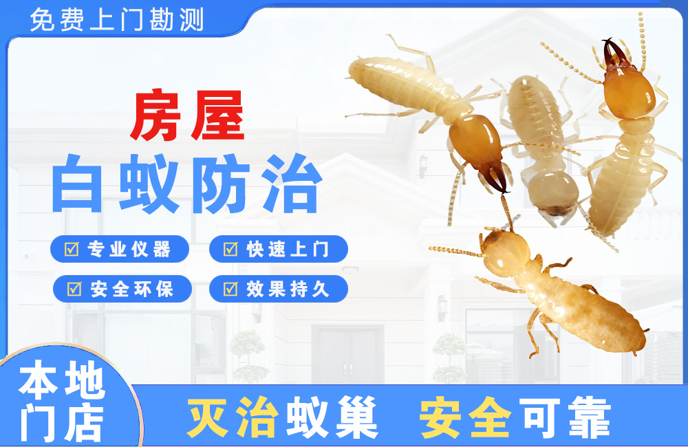张家界房屋白蚁防治