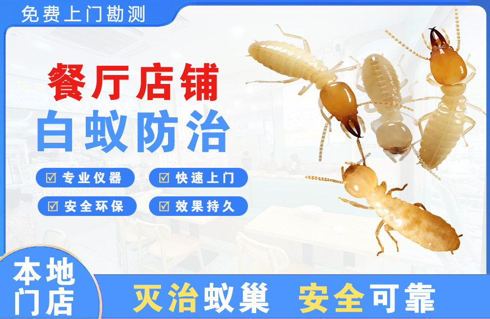 张家界餐厅店铺白蚁防治